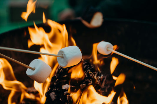 Why Camping Feels Like a Reset Button